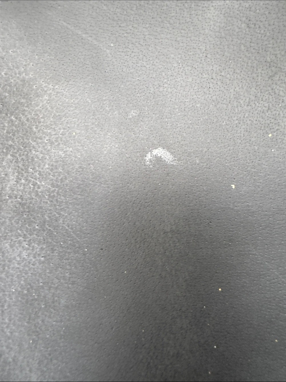 tribe alive compact leather